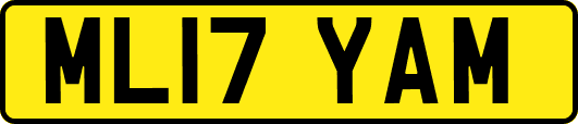ML17YAM