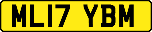 ML17YBM