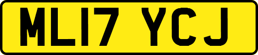 ML17YCJ