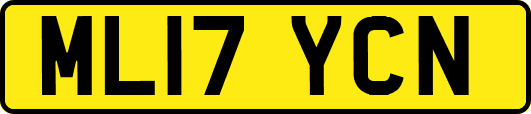 ML17YCN