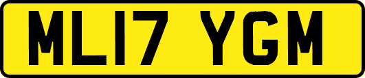ML17YGM