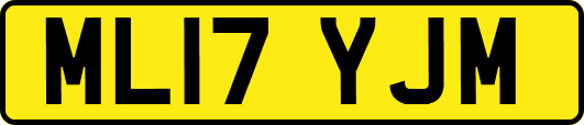 ML17YJM