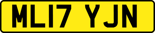 ML17YJN