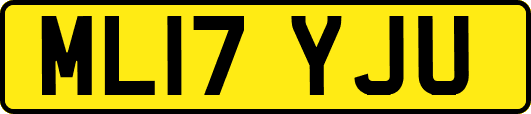 ML17YJU