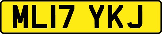 ML17YKJ