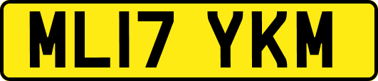 ML17YKM