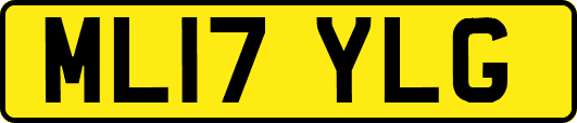 ML17YLG