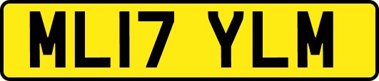 ML17YLM