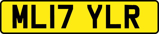 ML17YLR