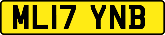 ML17YNB