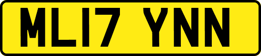 ML17YNN