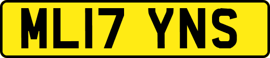 ML17YNS