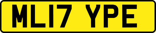 ML17YPE