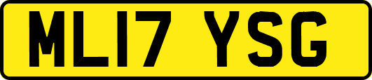 ML17YSG