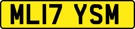 ML17YSM