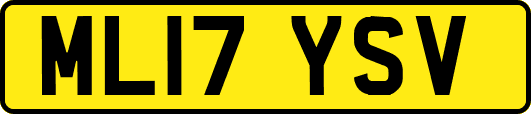 ML17YSV