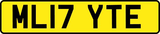 ML17YTE