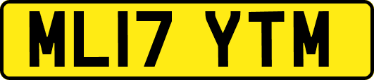 ML17YTM