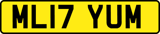 ML17YUM