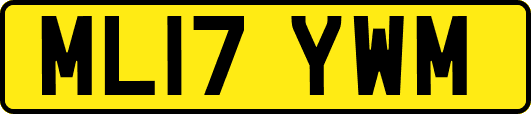 ML17YWM