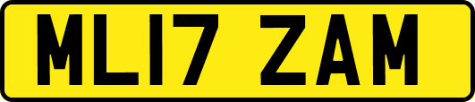ML17ZAM