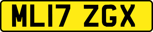 ML17ZGX