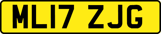 ML17ZJG