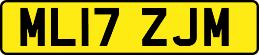 ML17ZJM