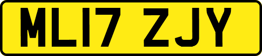 ML17ZJY