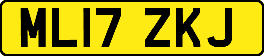 ML17ZKJ