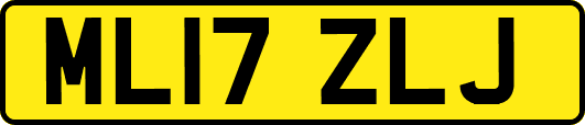 ML17ZLJ