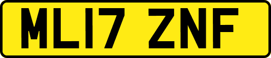 ML17ZNF