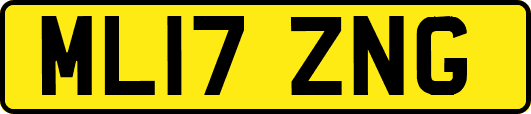ML17ZNG