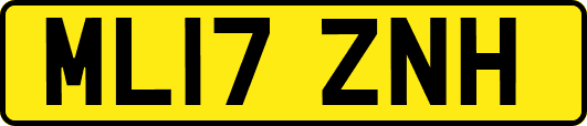 ML17ZNH