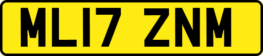 ML17ZNM