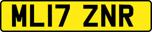 ML17ZNR