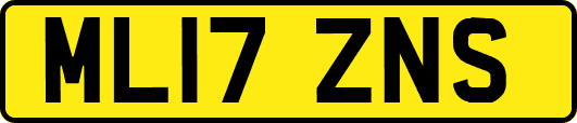 ML17ZNS