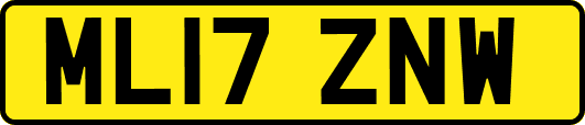 ML17ZNW