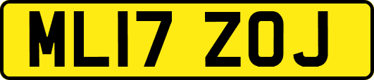 ML17ZOJ