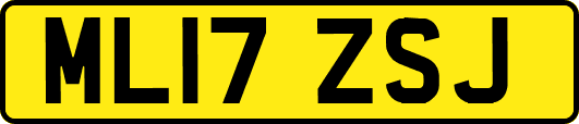 ML17ZSJ