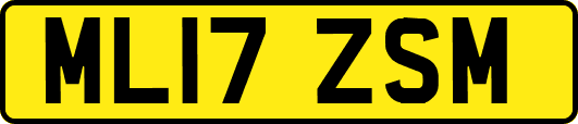 ML17ZSM