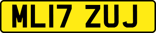 ML17ZUJ