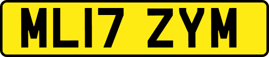 ML17ZYM