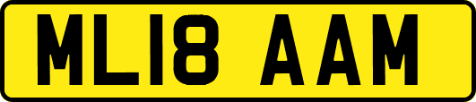 ML18AAM