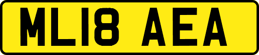 ML18AEA