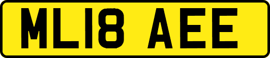 ML18AEE