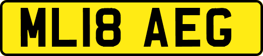 ML18AEG