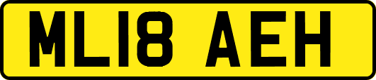 ML18AEH