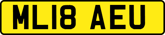 ML18AEU