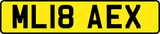 ML18AEX